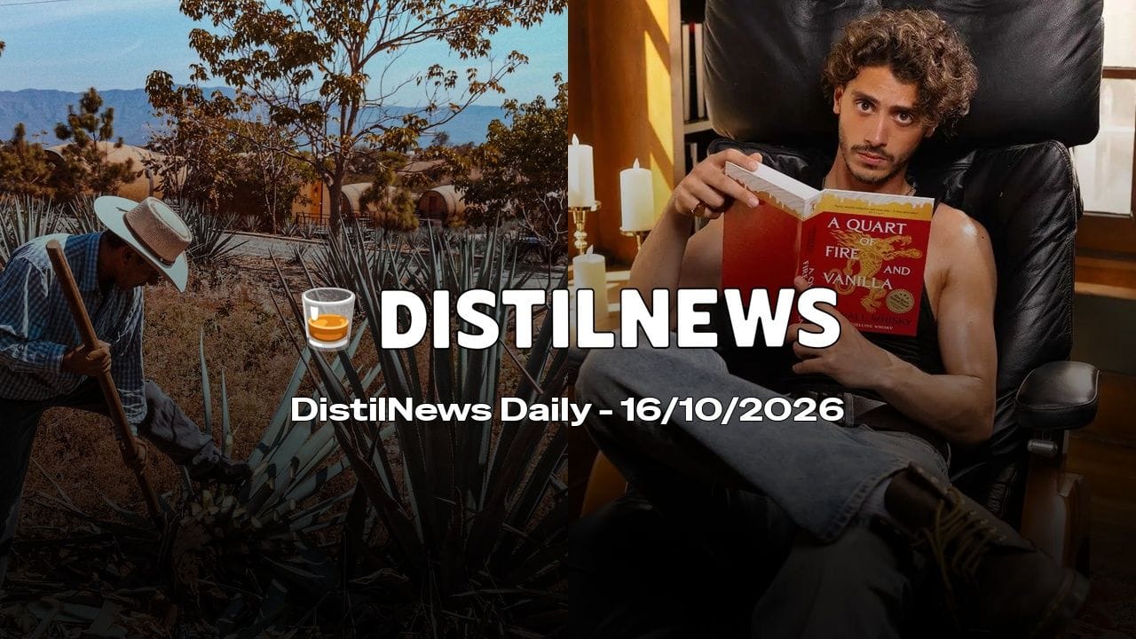 DistilNews Daily #1065