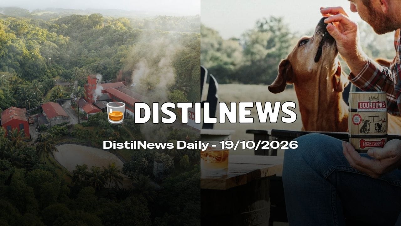 DistilNews Daily #1066