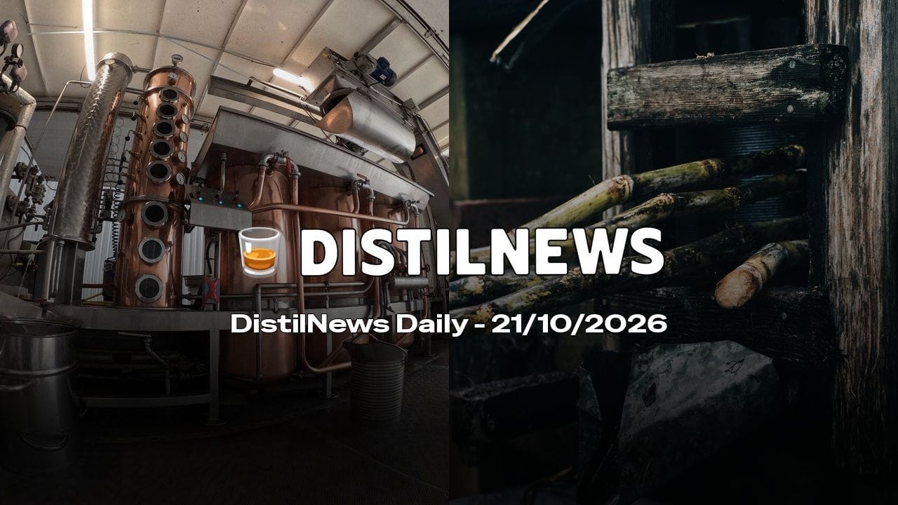 DistilNews Daily #1068
