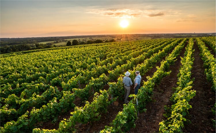 Wine & Spirit Tourism : le premier salon mondial dédié au tourisme des vins et des spiritueux se tiendra à Reims du 12 au 14 mars 2023