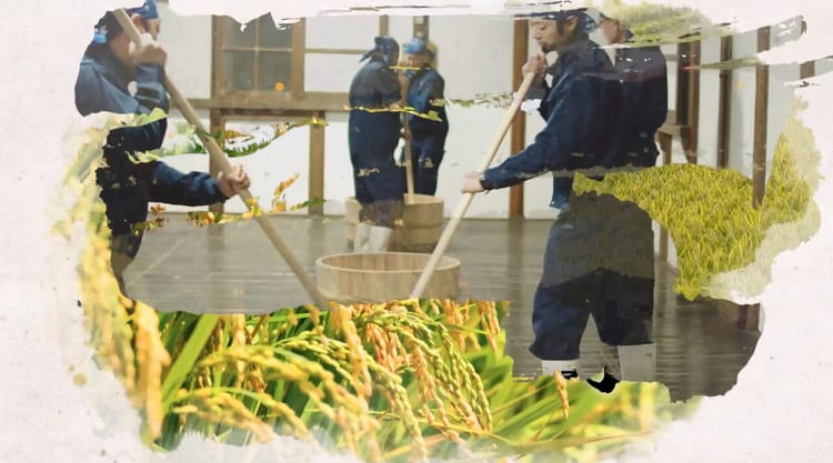 Le brassage traditionnel des sakés japonais