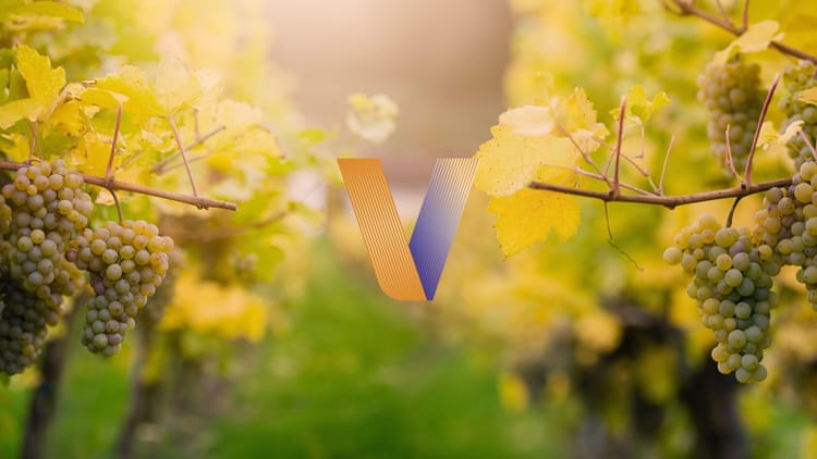 Vinexposium dévoile ses awards : la 1ère édition des V d’Or annoncée pour 2024
