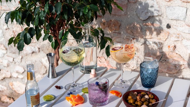 Infuse Me : Infusions pour Gin, Tonic et Mocktails