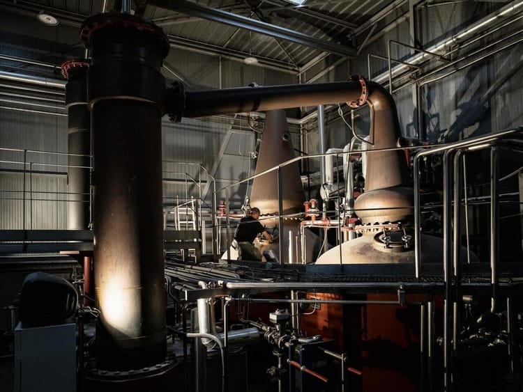 Le whisky français progresse de 7,3 % en valeur et gagne des parts de marché en grande distribution début 2026