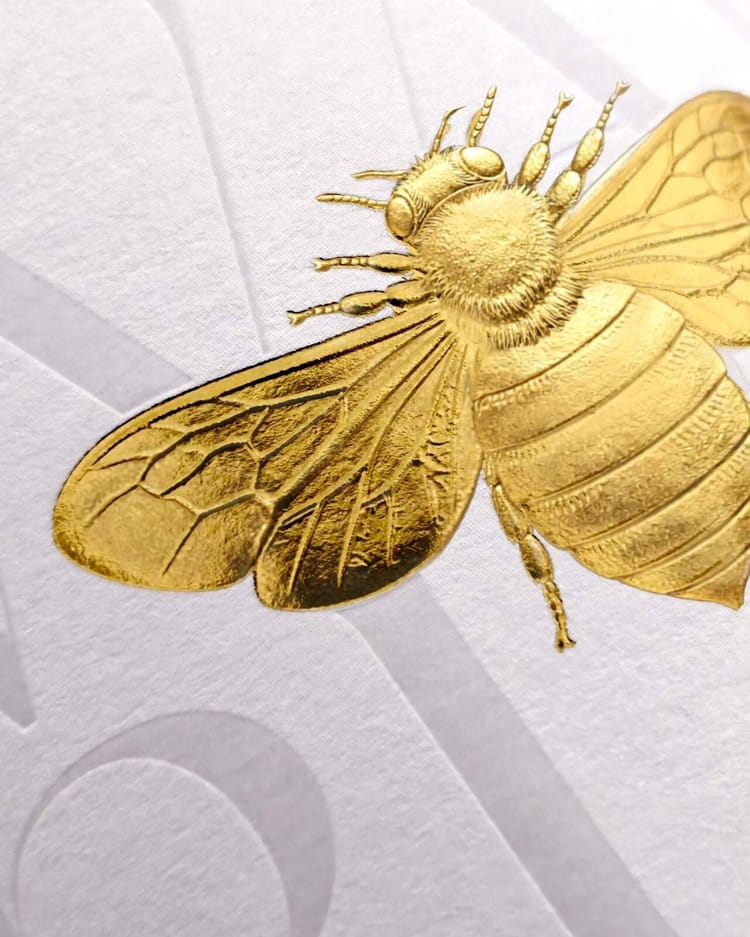 Packaging Design des Spiritueux - Best Of #130