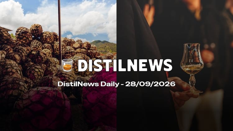 DistilNews Daily #1051