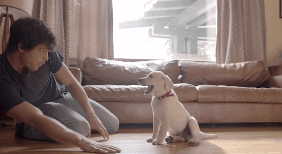 Budweiser : Friends Are Waiting