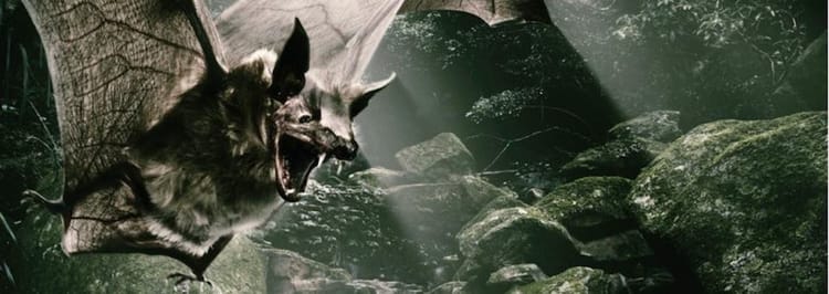 Pampero : A Perfect Blend of Good and Evil