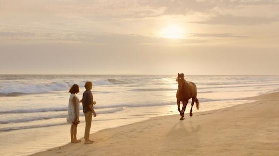 Strongbow : Slow Motion Horse