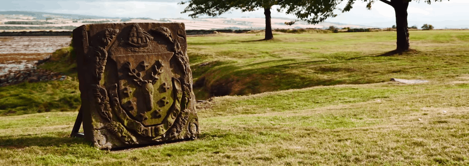 The Dalmore : The Art of Maturation