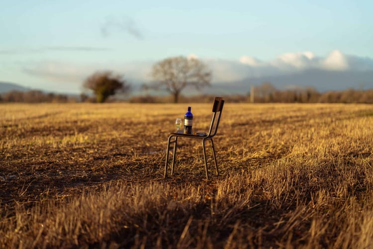 A qui profite la Tequila ? Quid du terroir dans le whisky ?