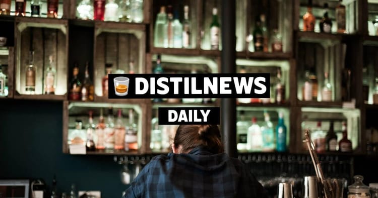 DistilNews : découvez la newsletter en version QUOTIDIENNE !