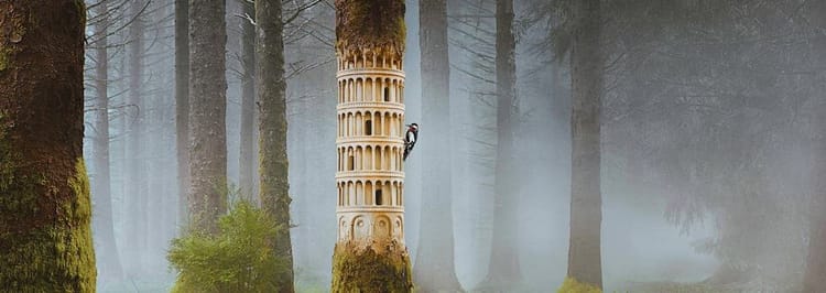 Guinness : Made of More / Rock to the Top