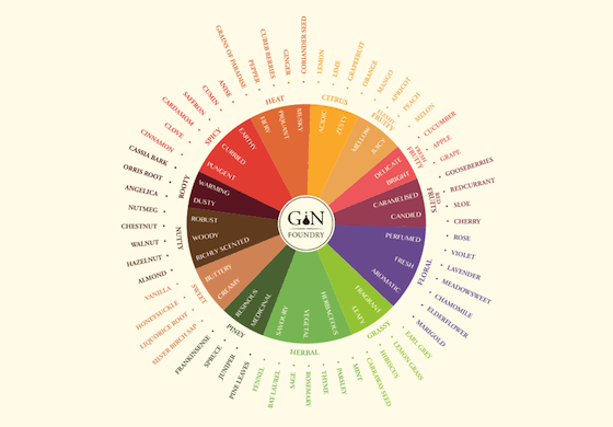 Gin-Foundry-Gin-Flavour-Wheel-03
