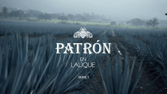 Lalique-Patron-04