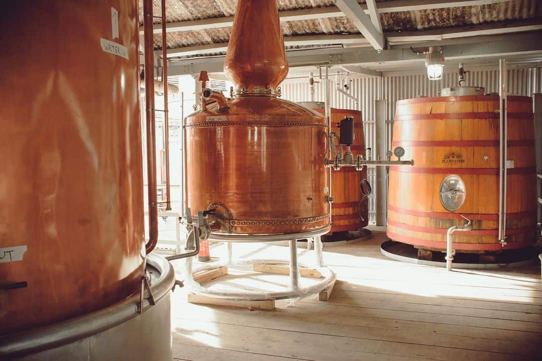 Plantation lance Cut & Dry, un Coconut Rum